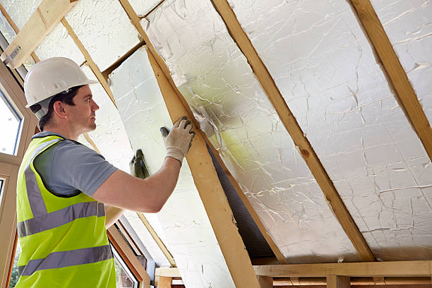 Best Best Insulation Companies  in Bensenvle, IL